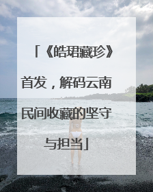 《皓珺藏珍》首发，解码云南民间收藏的坚守与担当