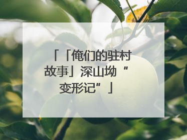 「俺们的驻村故事」深山坳“变形记”