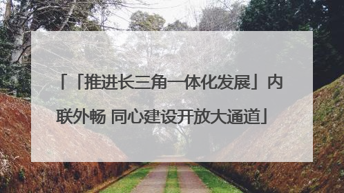 「推进长三角一体化发展」内联外畅 同心建设开放大通道