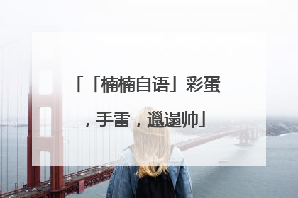 「楠楠自语」彩蛋，手雷，邋遢帅