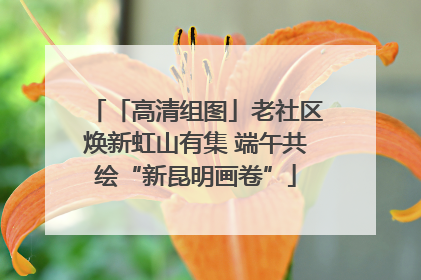 「高清组图」老社区焕新虹山有集 端午共绘“新昆明画卷”