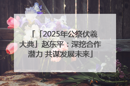 「2025年公祭伏羲大典」赵东平：深挖合作潜力 共谋发展未来