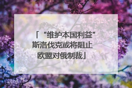 “维护本国利益” 斯洛伐克或将阻止欧盟对俄制裁