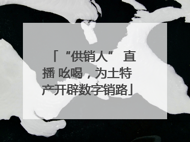 “供销人” 直播 吆喝，为土特产开辟数字销路