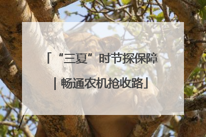 “三夏”时节探保障｜畅通农机抢收路