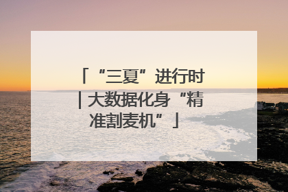 “三夏”进行时｜大数据化身“精准割麦机”
