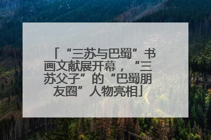“三苏与巴蜀”书画文献展开幕，“三苏父子”的“巴蜀朋友圈”人物亮相