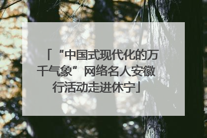 “中国式现代化的万千气象”网络名人安徽行活动走进休宁