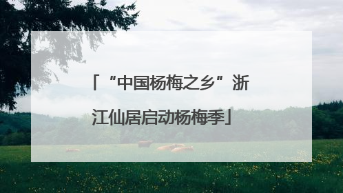 “中国杨梅之乡”浙江仙居启动杨梅季