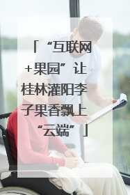 “互联网+果园”让桂林灌阳李子果香飘上“云端”