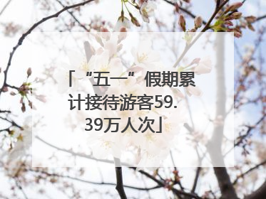 “五一”假期累计接待游客59.39万人次