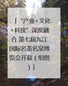 “产业+文化+科技”深度融合 第七届九江国际名茶名泉博览会开幕（组图）
