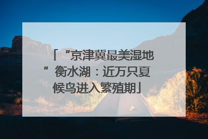 “京津冀最美湿地”衡水湖：近万只夏候鸟进入繁殖期