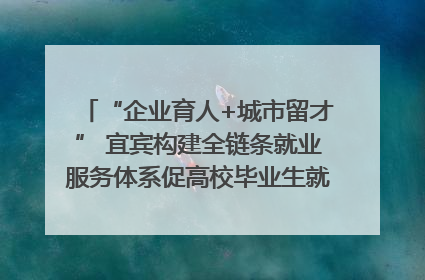 “企业育人+城市留才” 宜宾构建全链条就业服务体系促高校毕业生就业｜您牵挂的四川