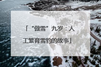 “傲雪”九岁：人工繁育雪豹的故事