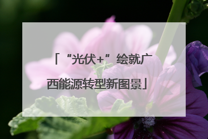 “光伏+”绘就广西能源转型新图景