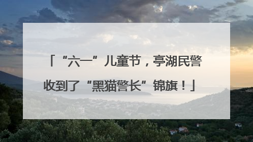 “六一”儿童节，亭湖民警收到了“黑猫警长”锦旗！
