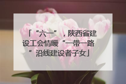 “六一”，陕西省建设工会情暖“一带一路”沿线建设者子女
