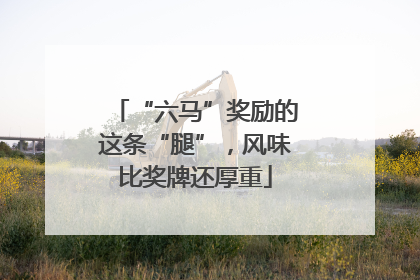 “六马”奖励的这条“腿”，风味比奖牌还厚重