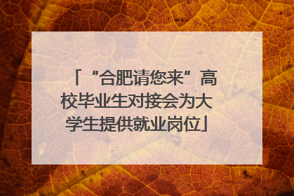 “合肥请您来”高校毕业生对接会为大学生提供就业岗位