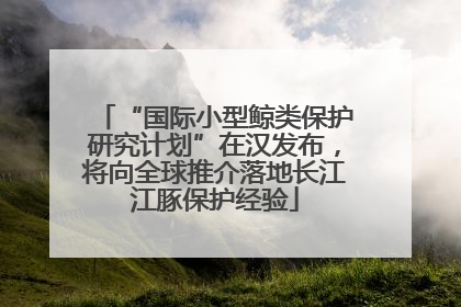 “国际小型鲸类保护研究计划”在汉发布，将向全球推介落地长江江豚保护经验