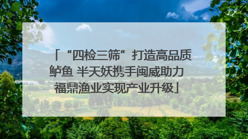 “四检三筛”打造高品质鲈鱼 半天妖携手闽威助力福鼎渔业实现产业升级