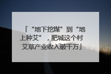 “地下挖煤”到“地上种艾”，肥城这个村艾草产业收入破千万