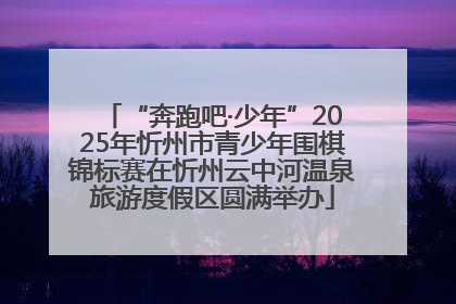 “奔跑吧·少年”2025年忻州市青少年围棋锦标赛在忻州云中河温泉旅游度假区圆满举办