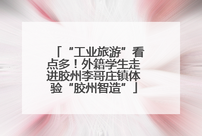 “工业旅游”看点多！外籍学生走进胶州李哥庄镇体验“胶州智造”