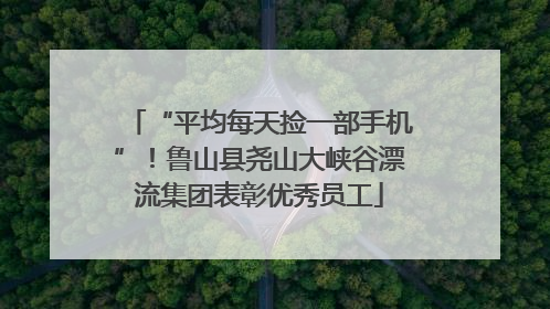 “平均每天捡一部手机”！鲁山县尧山大峡谷漂流集团表彰优秀员工
