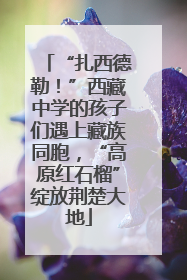 “扎西德勒！”西藏中学的孩子们遇上藏族同胞，“高原红石榴”绽放荆楚大地