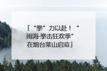 “拳”力以赴！“闹海·拳击狂欢季”在烟台莱山启幕