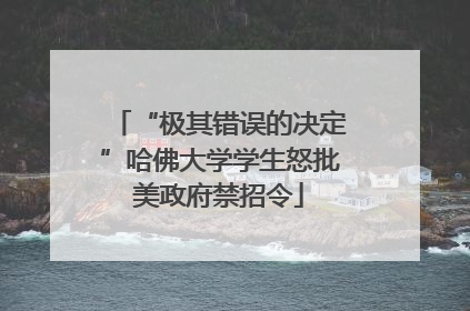“极其错误的决定”哈佛大学学生怒批美政府禁招令