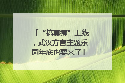 “搞莫狮”上线，武汉方言主题乐园年底也要来了