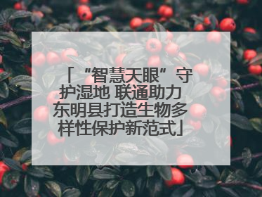 “智慧天眼”守护湿地 联通助力东明县打造生物多样性保护新范式