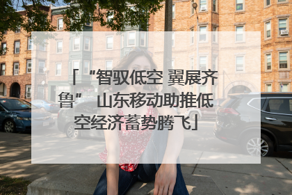 “智驭低空 翼展齐鲁” 山东移动助推低空经济蓄势腾飞