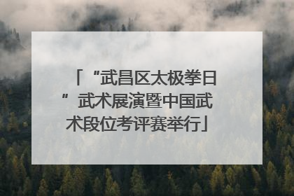 “武昌区太极拳日”武术展演暨中国武术段位考评赛举行