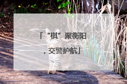 “棋”聚衡阳，交警护航