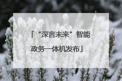 “深言未来”智能政务一体机发布