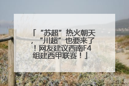 “苏超”热火朝天，“川超”也要来了！网友建议西南F4组建西甲联赛！
