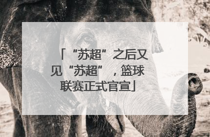 “苏超”之后又见“苏超”，篮球联赛正式官宣