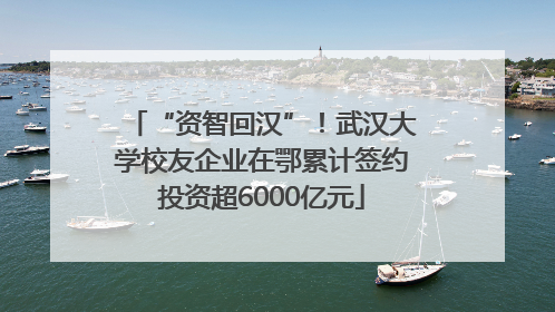 “资智回汉”！武汉大学校友企业在鄂累计签约投资超6000亿元