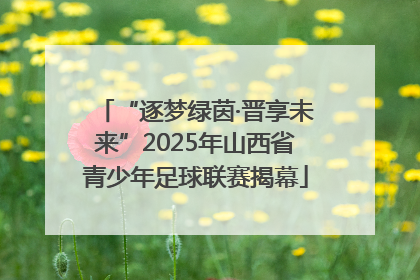 “逐梦绿茵·晋享未来”2025年山西省青少年足球联赛揭幕