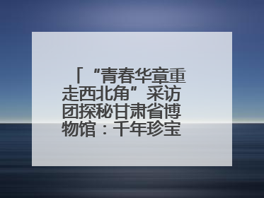 “青春华章重走西北角”采访团探秘甘肃省博物馆：千年珍宝诉说丝路辉煌