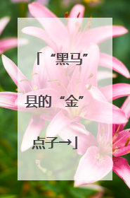 “黑马”县的“金”点子→