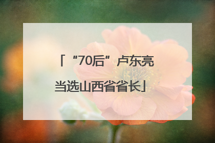 “70后”卢东亮当选山西省省长