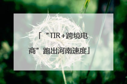 “TIR+跨境电商”跑出河南速度