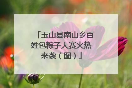 玉山县南山乡百姓包粽子大赛火热来袭（图）