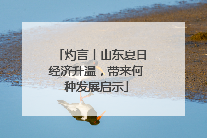 灼言丨山东夏日经济升温，带来何种发展启示