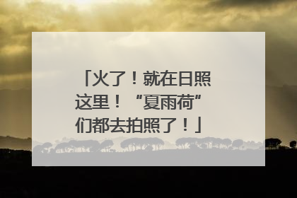 火了！就在日照这里！“夏雨荷”们都去拍照了！